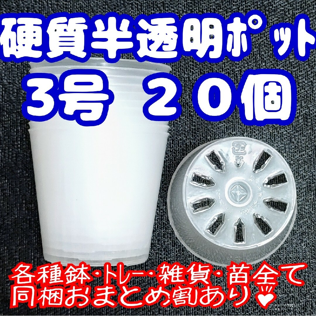 硬質半透明ポリポット 3号 9cm 20個 プラ鉢 多肉植物 プレステラ ハンドメイドのフラワー/ガーデン(プランター)の商品写真