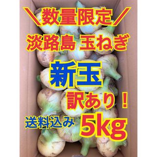 淡路島 玉ねぎ 玉葱 新玉 5kg 送料込み 農家直送 南あわじ 訳あり(野菜)