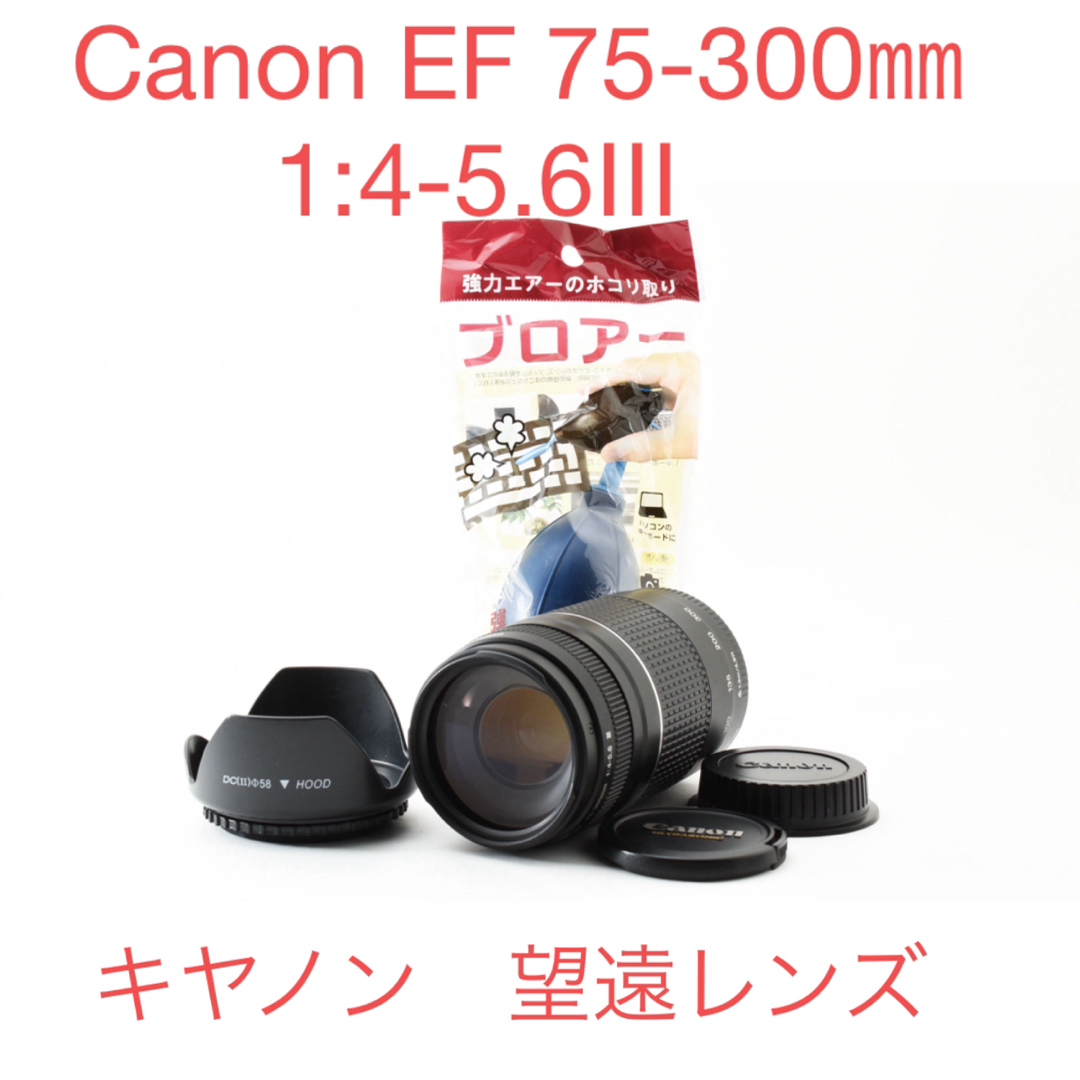 フード付き/スポーツ/運動会/Canon EF 75-300㎜ II フード付き/スポーツ/運動会/Canon EF 75-300㎜ II