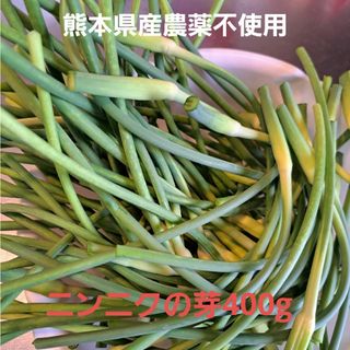 熊本県産農薬不使用　ニンニクの芽400g蕾つき(野菜)