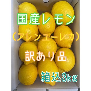 《訳あり品》国産レモン（アレンユーレカ）サイズ混合 箱込み3kg(フルーツ)