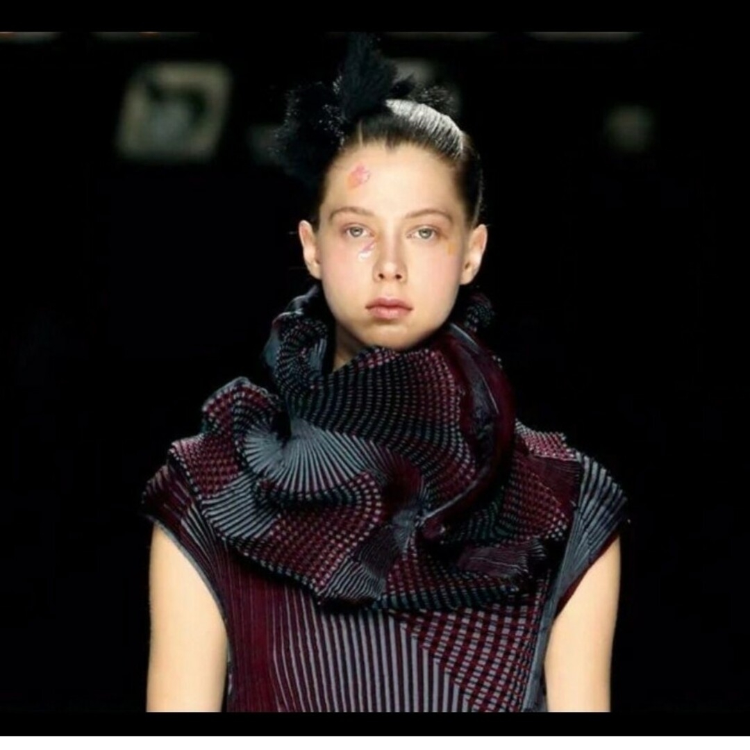 超美品 激レアISSEY MIYAKE イッセイミヤケ 3Dスチーム トップス 超美品 激レアISSEY MIYAKE イッセイミヤケ 3Dスチーム トップス