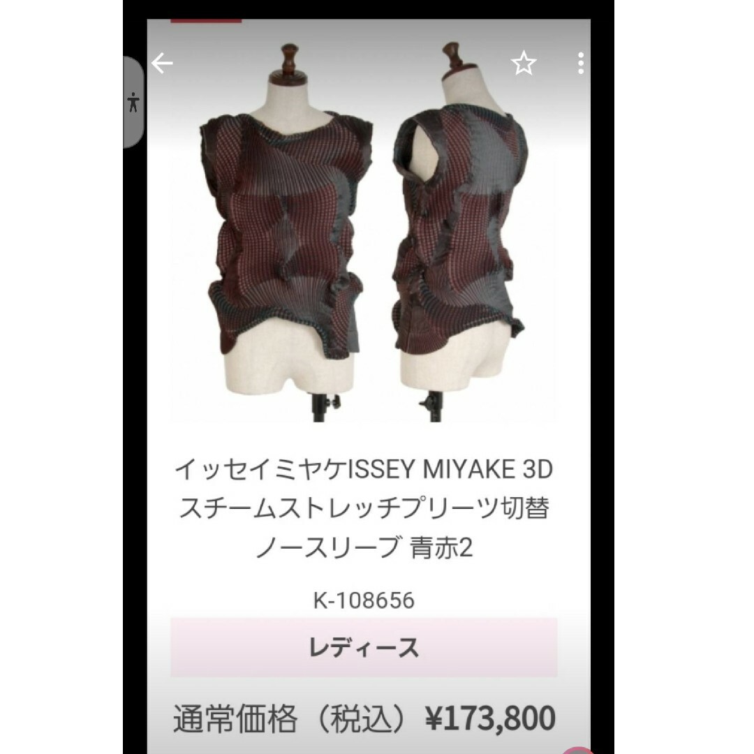 超美品 激レアISSEY MIYAKE イッセイミヤケ 3Dスチーム トップス 超美品 激レアISSEY MIYAKE イッセイミヤケ 3Dスチーム トップス