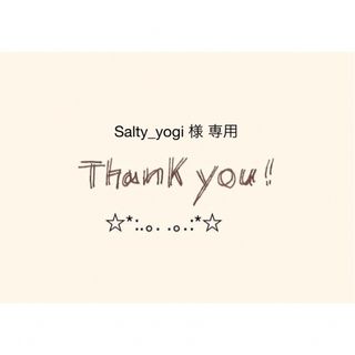 Salty_yogi 様 専用 ワッペン 2枚セット(各種パーツ)