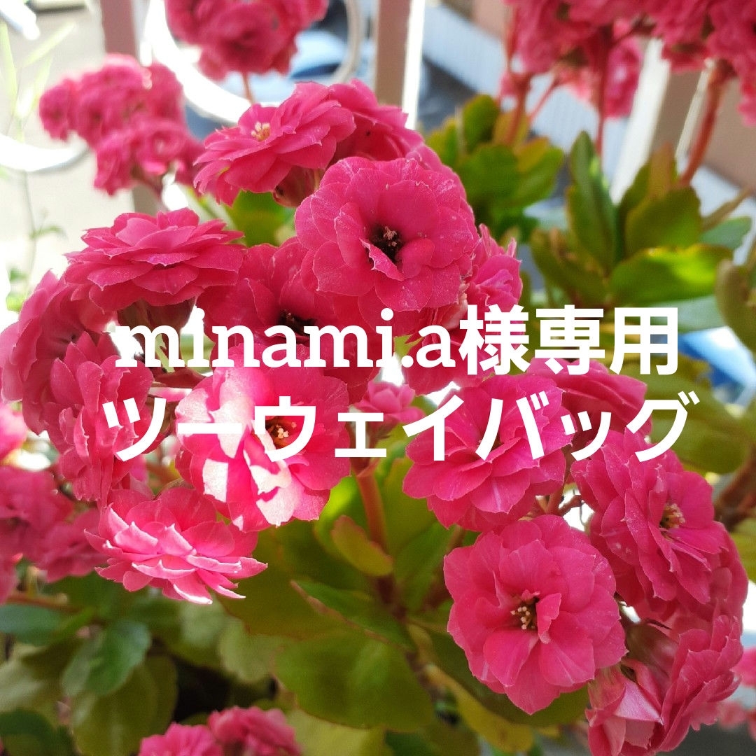 minami.a様専用ツーウェイバッグ レディースのバッグ(ショルダーバッグ)の商品写真