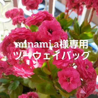 minami.a様専用ツーウェイバッグ(ショルダーバッグ)