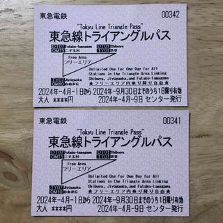 東急線 トライアングルパス 東急電鉄(鉄道乗車券)