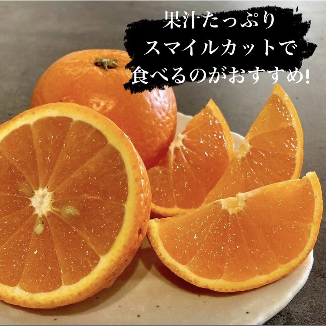 早い者勝ち!和歌山県田辺産 M～4L、4.5kg清見オレンジ きよみ 清美 食品/飲料/酒の食品(フルーツ)の商品写真
