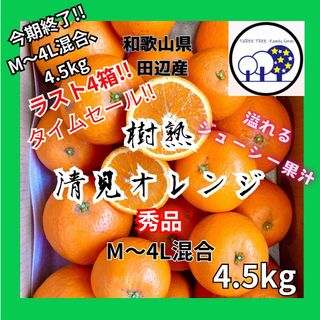 早い者勝ち!和歌山県田辺産 M～4L、4.5kg清見オレンジ きよみ 清美(フルーツ)