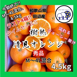 早い者勝ち!和歌山県田辺産 M～4L、4.5kg清見オレンジ きよみ 清美(フルーツ)