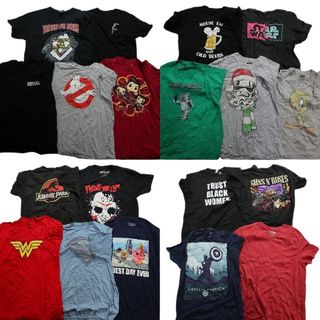 古着卸 まとめ売り カラーmix プリント 半袖Tシャツ 19枚セット (メンズ L ) キャラクターアニメ 映画 スカル ゴーストバスター MS6528(その他)