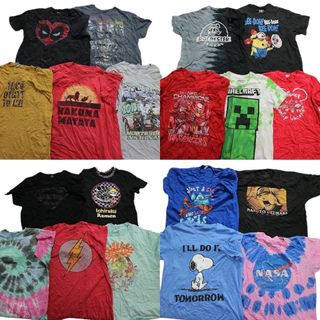 古着卸 まとめ売り カラーmix プリント 半袖Tシャツ 19枚セット (メンズ XL ) キャラクターアニメ アメコミ タイダイ MS6623(その他)