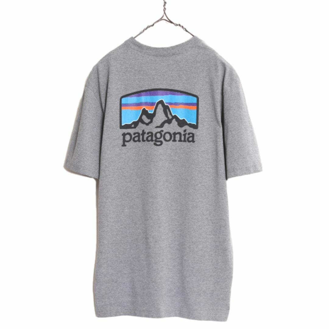 patagonia(パタゴニア)の19年製 パタゴニア 両面 プリント 半袖 Tシャツ メンズ M / Patagonia アウトドア グラフィック イラスト バックプリント クルーネック 灰 メンズのトップス(Tシャツ/カットソー(半袖/袖なし))の商品写真