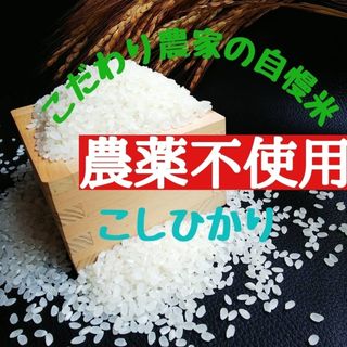 こだわり農家の自慢米  白米5㎏(無農薬栽培)　　　　　令和5年産(米/穀物)