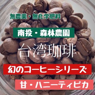 【秘境の逸品】「果実系」台湾・森林農園　ハニートロピカル　豆　中浅煎り　150g(コーヒー)