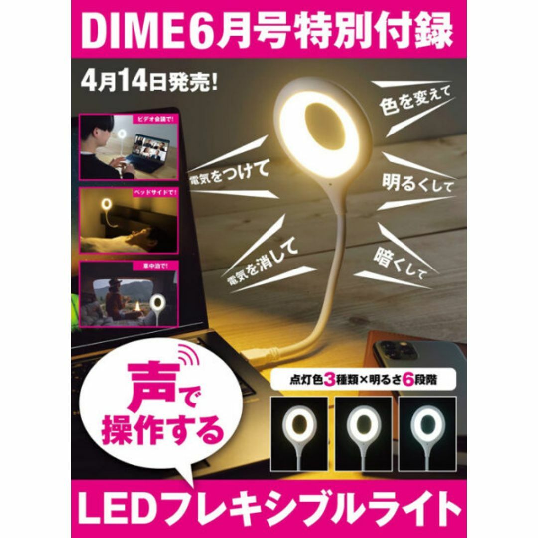 DIME ダイム付録　LEDフレキシブルライト インテリア/住まい/日用品のライト/照明/LED(その他)の商品写真