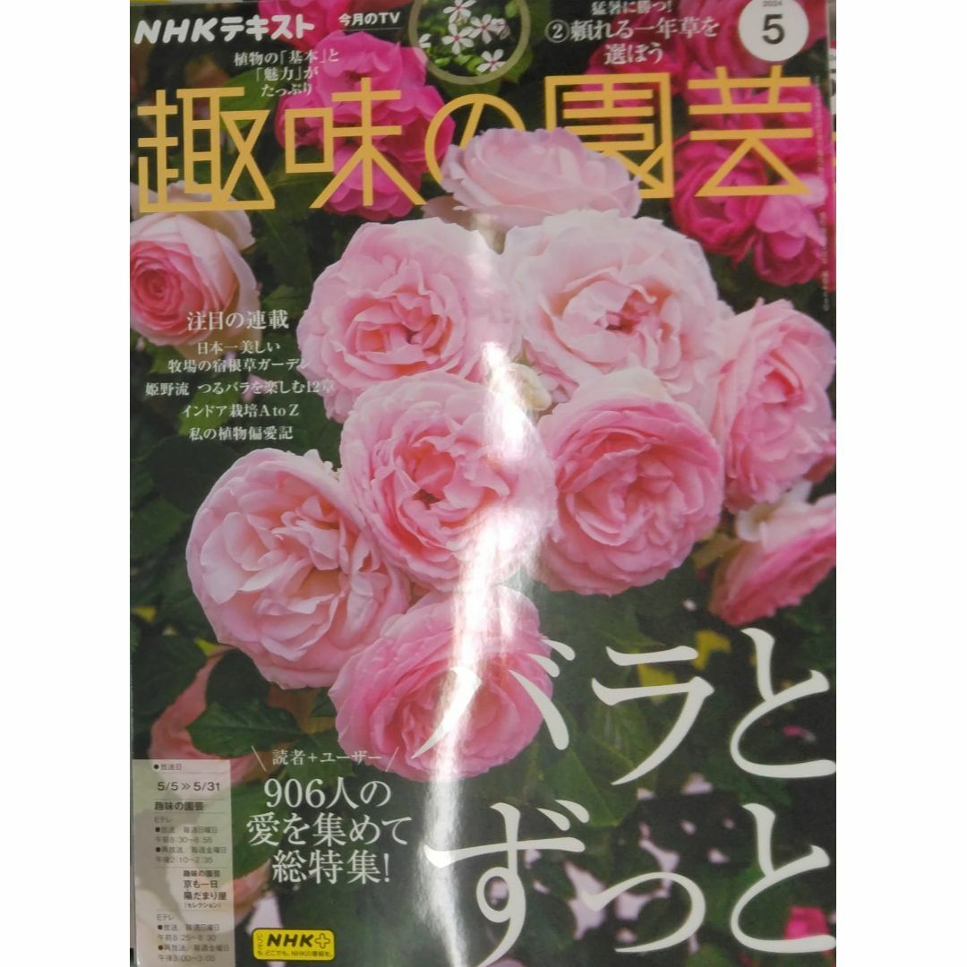 完全新品　NHKテキスト趣味の園芸 2024年 05 月号 エンタメ/ホビーの本(その他)の商品写真