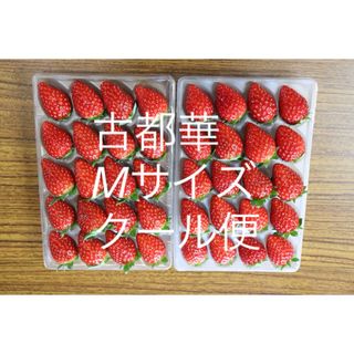 古都華　いちご　M〜　小さめ　農家直　苺　イチゴ　ことか　奈良県産 農園直送(フルーツ)