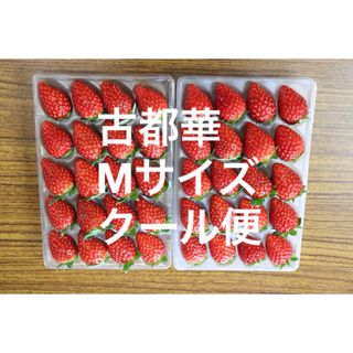 古都華　いちご　M〜　小さめ　農家直　苺　イチゴ　ことか　奈良県産 農園直送(フルーツ)