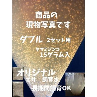 タマミジンコ〝ミジンコまる〟ダブル(ペットフード)