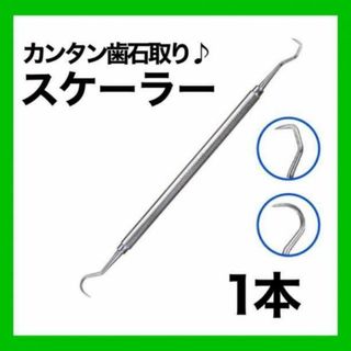 歯石取り スケーラー 1本 ヤニ デンタルオーラル ステンレス　デンタル ペット(歯ブラシ/デンタルフロス)