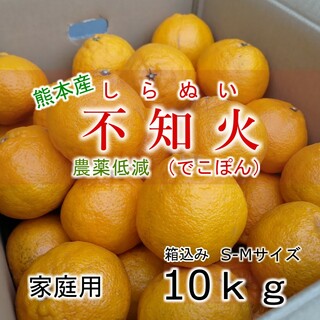 熊本県産 不知火(デコポン) 箱込み10kg S・Mサイズ 農薬低減(フルーツ)