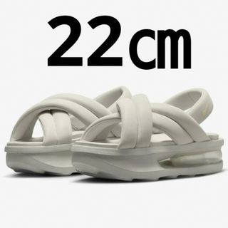 ナイキ(NIKE)のNIKE エアマックスアイラ　22(スニーカー)