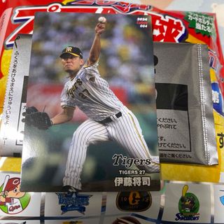 プロ野球チップスカード2024 伊藤将司(その他)