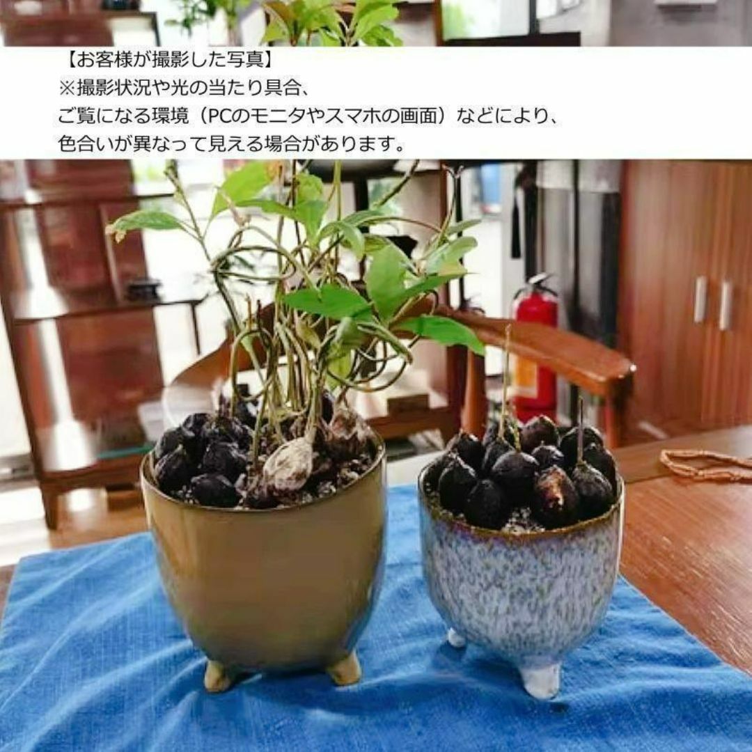 N0010【Kaemingk】植木鉢 おしゃれ 北欧 陶器鉢 多肉 植物 鉢植え ハンドメイドのフラワー/ガーデン(プランター)の商品写真