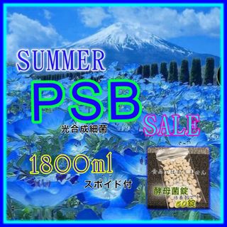 ⭐️初夏のPSB SALE   光合成細菌　1800ml&酵母菌50錠　セット(アクアリウム)