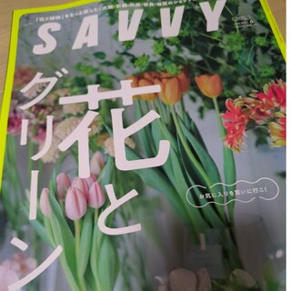 SAVVY (サビィ) 2024年 06月号 [雑誌]花とグリーン　本(その他)