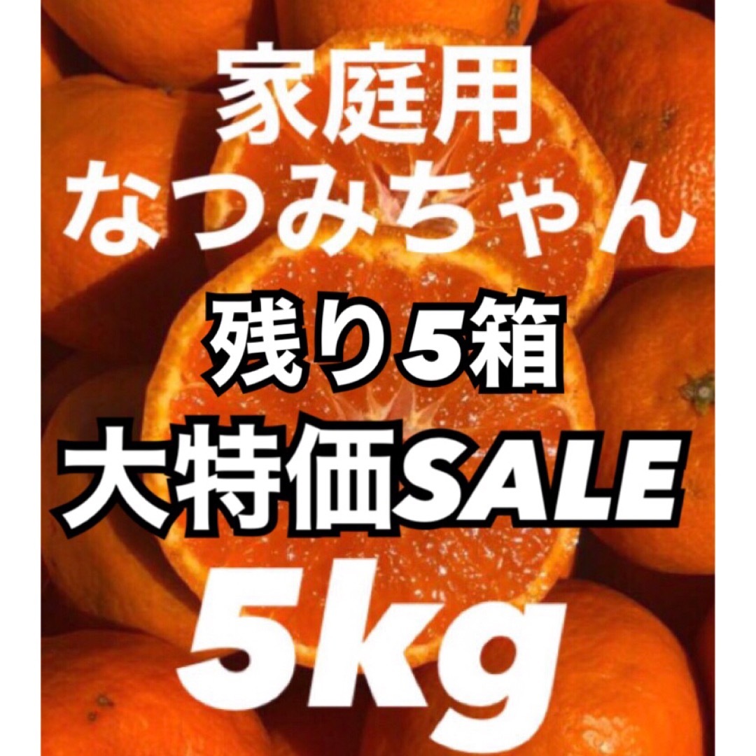 愛媛県産みかん なつみ 箱込5kg 柑橘 ミカン 果物 食品/飲料/酒の食品(フルーツ)の商品写真