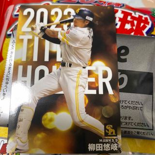 フクオカソフトバンクホークス(福岡ソフトバンクホークス)のプロ野球チップスカード2024 柳田悠岐(その他)