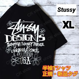 ステューシー(STUSSY)の【ステューシー】正規・新品タグ　LBバックデザイン　黒　XL　Tシャツ(Tシャツ/カットソー(半袖/袖なし))