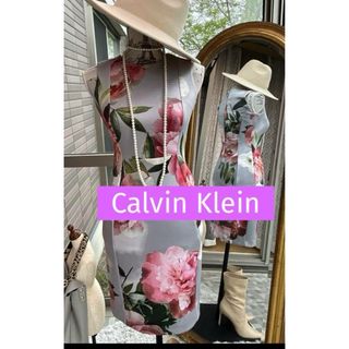 カルバンクライン(Calvin Klein)の綺麗なお姉さんのカルバンクライン美しいワンピース(ひざ丈ワンピース)