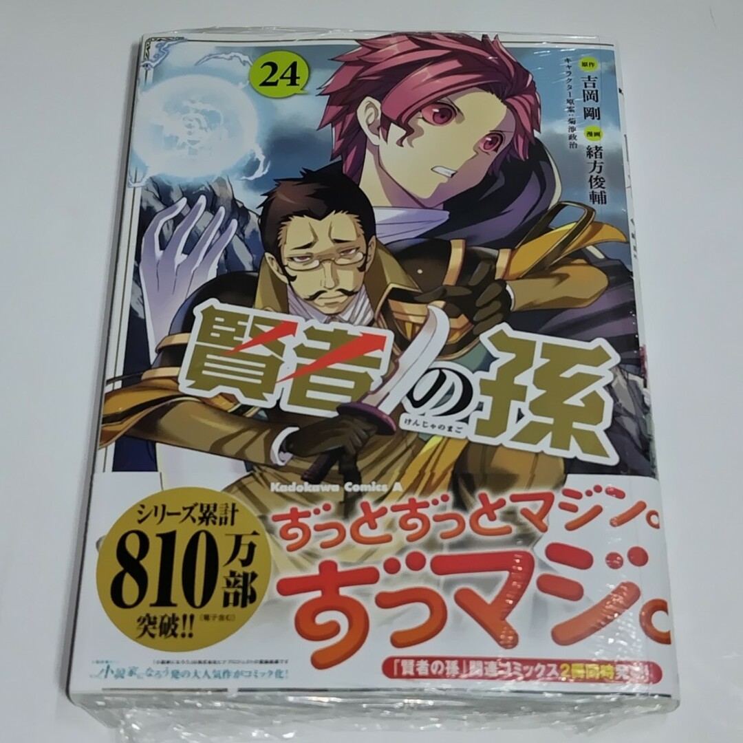 賢者の孫 コミック 24巻 エンタメ/ホビーの漫画(青年漫画)の商品写真