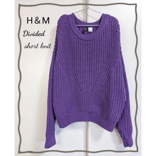 エイチアンドエム(H&M)の【H&M DIVIDED】ニット セーター リブニット ゆったり L 紫(ニット/セーター)