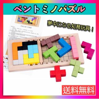 ペントミノパズル モンテッソーリ テトリス パズル 型はめ カタミノ おもちゃ(知育玩具)