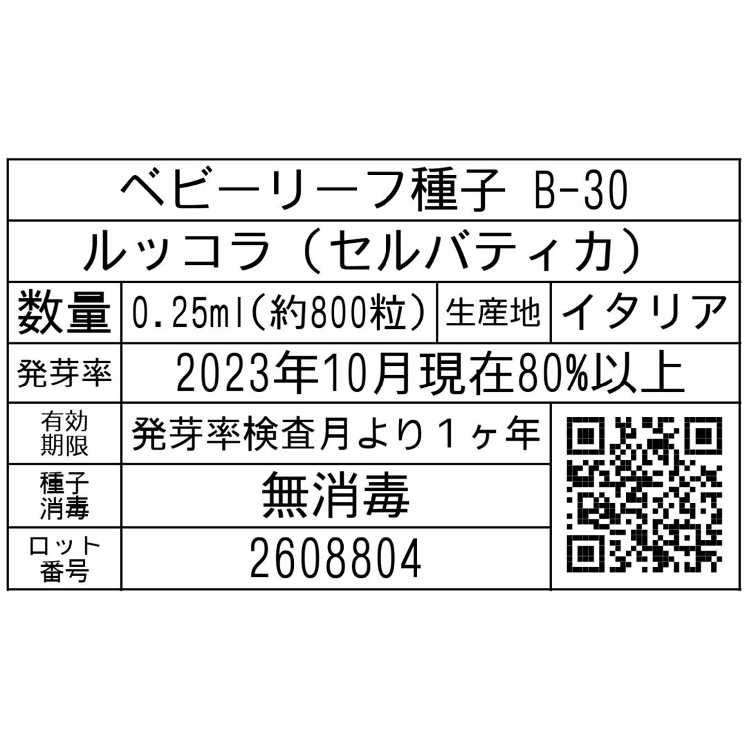 ベビーリーフ種子 B-30 ルッコラ（セルバティカ）0.25ml約800粒x2袋 食品/飲料/酒の食品(野菜)の商品写真