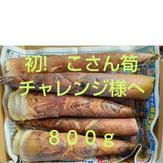 熊本県産　こさん　たけのこ　お試し　約８００ｇ(野菜)