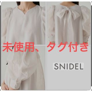 スナイデル(SNIDEL)のスナイデル Sustainaオーガンシースルーブラウス (シャツ/ブラウス(半袖/袖なし))