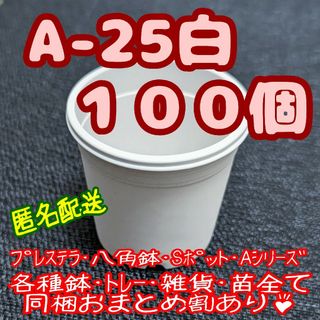 プラ鉢【A-25】100個 スリット鉢 丸 プレステラ 多肉植物(プランター)