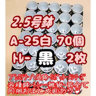 プラ鉢【A-25】70個+専用システムトレー黒2枚スリット鉢プレステラ多肉植物(プランター)