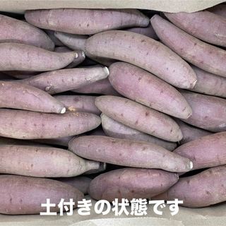 【Sサイズ】　シルクスイート  5Kg   愛知県産  さつまいも(野菜)