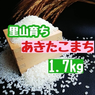 里山育ち　あきたこまち1.7kg(精米・令和5年産)(米/穀物)