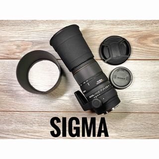 シグマ(SIGMA)の✨安心保証✨SIGMA 170-500mm f/5-6.3 APO CANON(レンズ(ズーム))