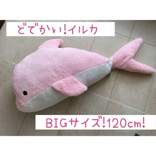 TAITO - 【タイクレ限定】どでかいイルカ！ぬいぐるみ！120cm