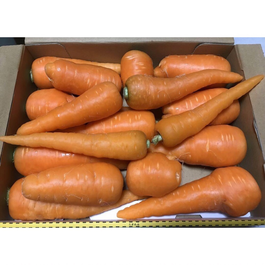 春にんじん　1.5kg箱込　B 徳島県産 食品/飲料/酒の食品(野菜)の商品写真