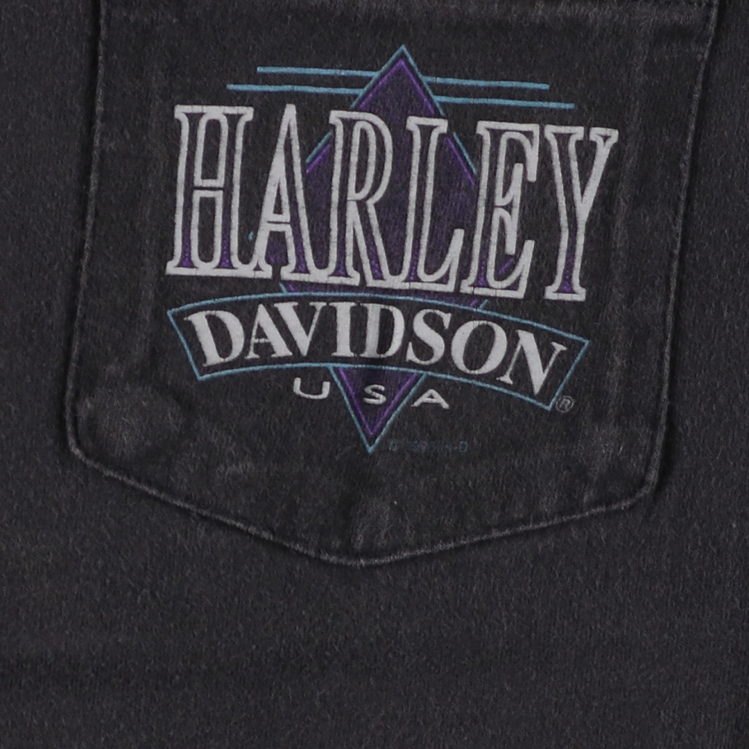 Hanes(ヘインズ)の古着 ヘインズ Hanes Harley-Davidson ハーレーダビッドソン モーターサイクル バイクTシャツ USA製 メンズL /eaa440642 メンズのトップス(Tシャツ/カットソー(半袖/袖なし))の商品写真