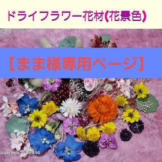 【まま様専用】ドライフラワー花材(花景色)(ドライフラワー)